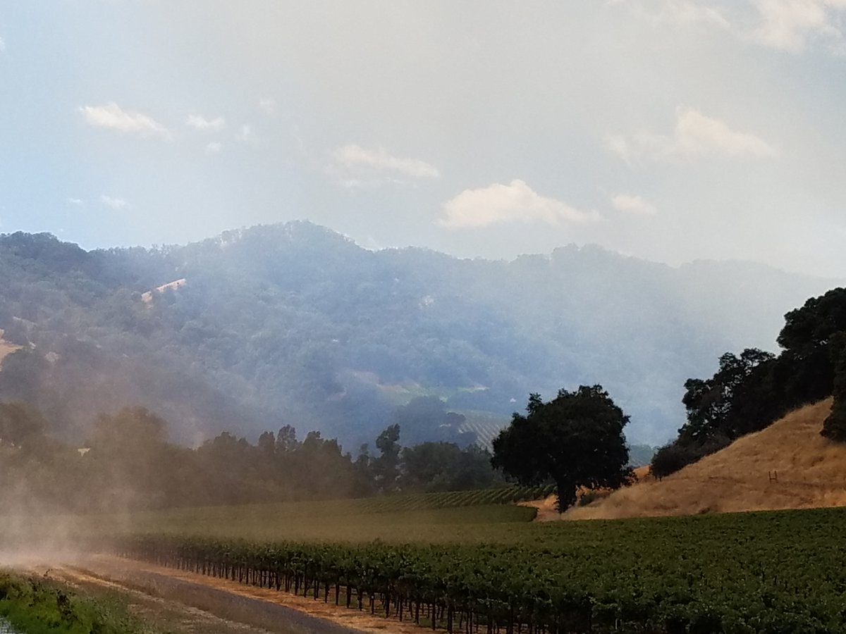#CALFIREMEU The smoke visible in Mendocino County is drift smoke from  other fires in Northern California. Mendocino County currently has no fires. Please do not call 9-1-1 for the drift smoke- however if you see flames or a defined column of smoke that is the time to call 9-1-1.