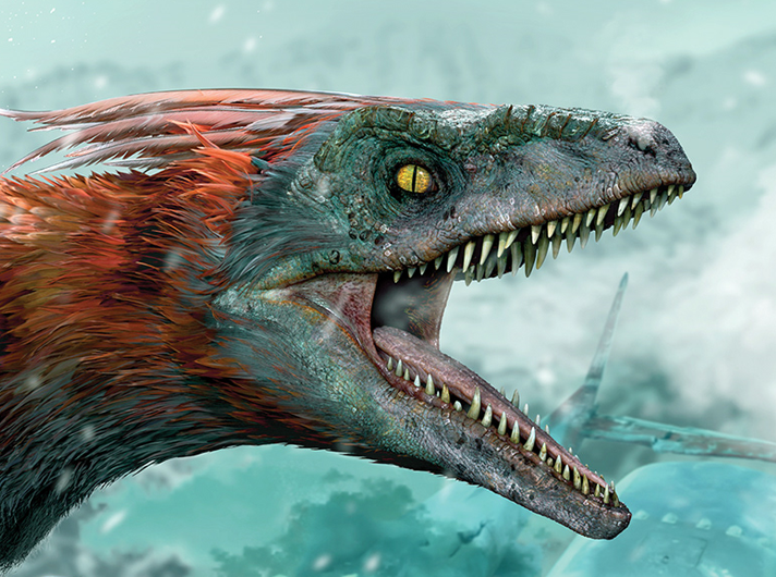 Lucca ☀️ on Twitter: