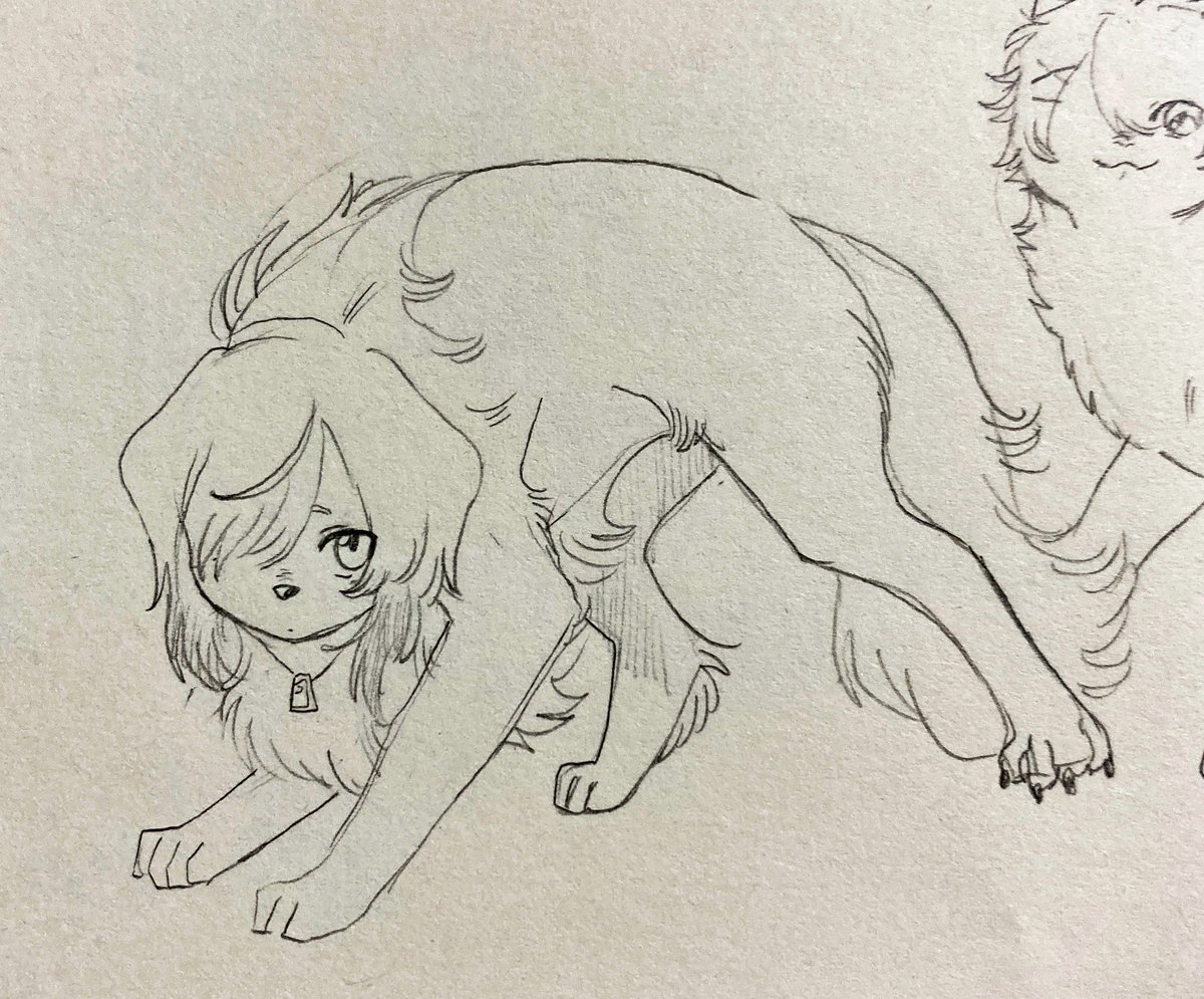 → 