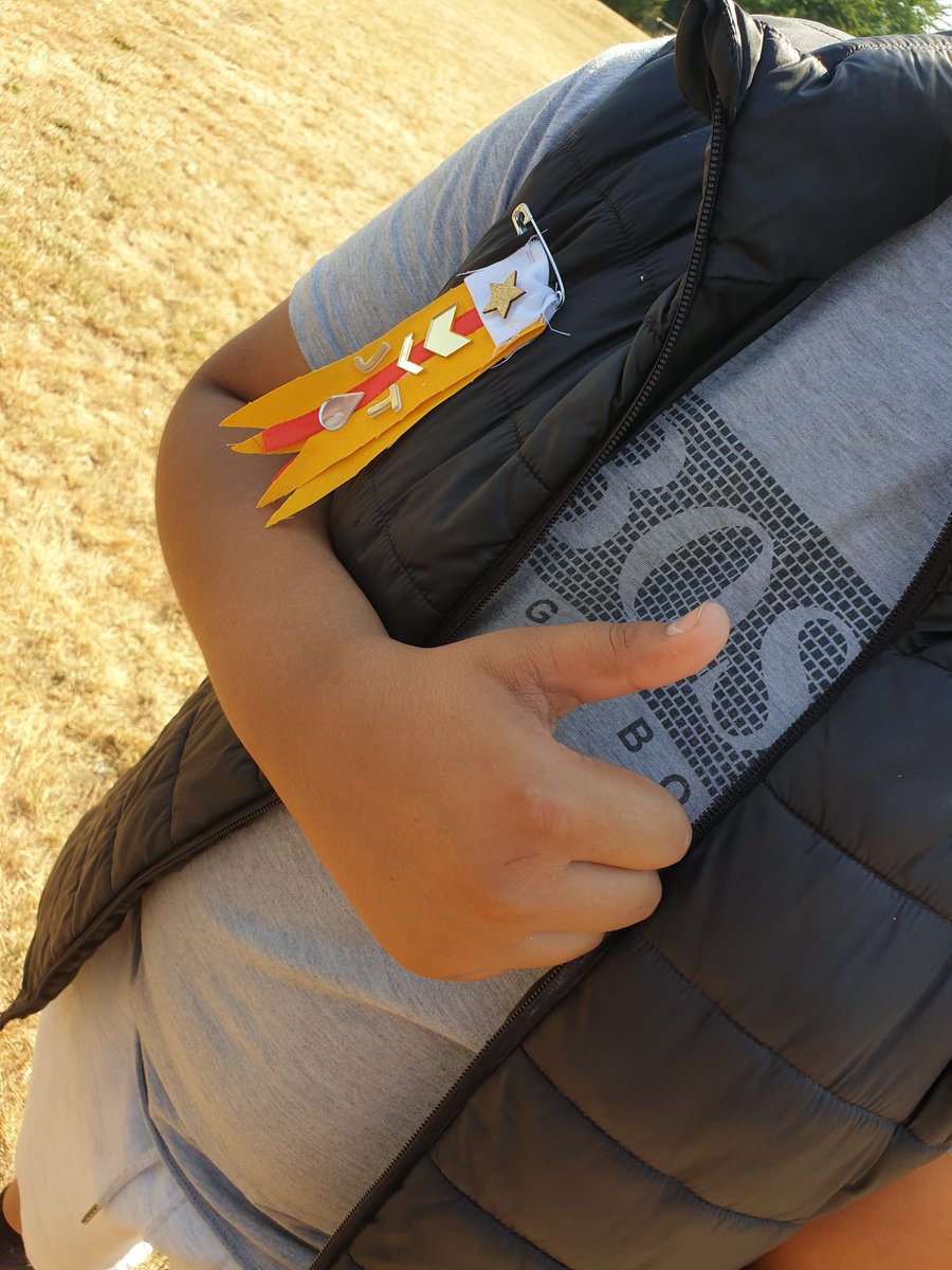 ar_ctive's tweet photo. Medals of courage at the commonwealth festival today in Adderley Park @AlumRockCF @artspace #commoners https://t.co/mRKL3B4jwm