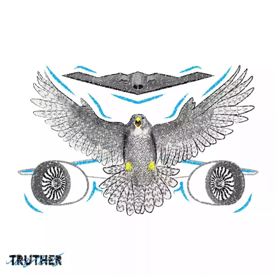 TRUTHERINC's tweet photo. B2 stealth bomber inspired by Peregrine Falcon | TRUTHER https://t.co/Fn8pEBscTf