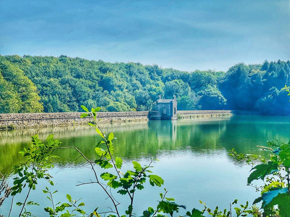 artypartyco's tweet photo. Hot ‘n’ hazy at Linacre today ☀️☀️☀️
#linacre #reservoir #conservation #wildlife #walking #Derbyshire #Chesterfield #summerday #hot #Heatwave2022 @stwater @D_Times https://t.co/lyQfPvXpZs