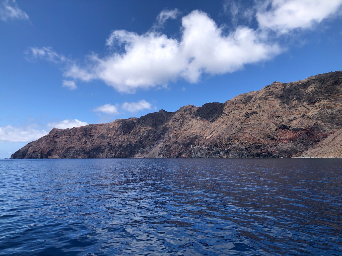 Thiago Friedrich tweet media