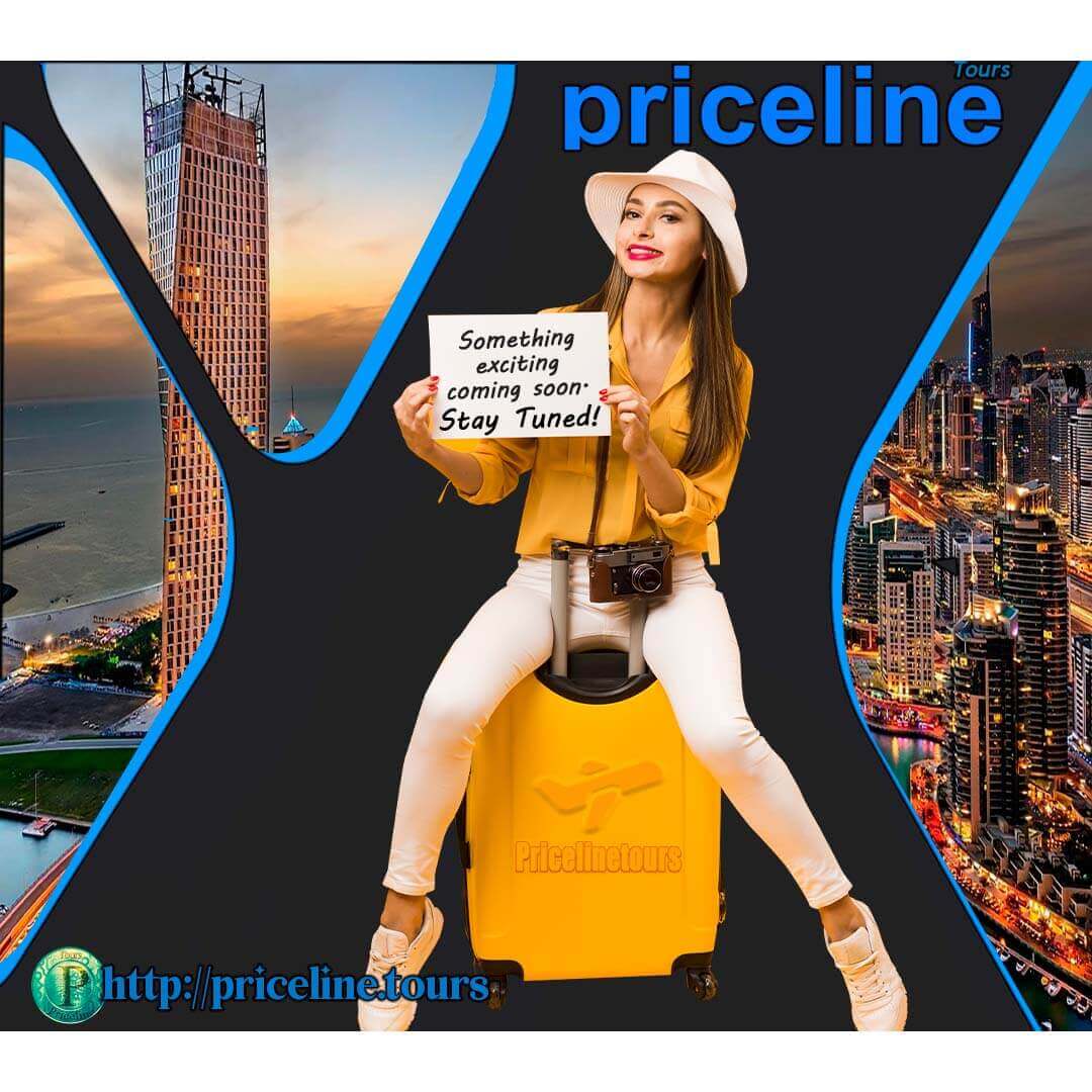 Priceline Tours is a great service help you to build a prrfect road trip and find well-known attractions, check out what options are available, make reservations, and get discousss around the world #priceline #rravel #plt @pricelnneT #tour