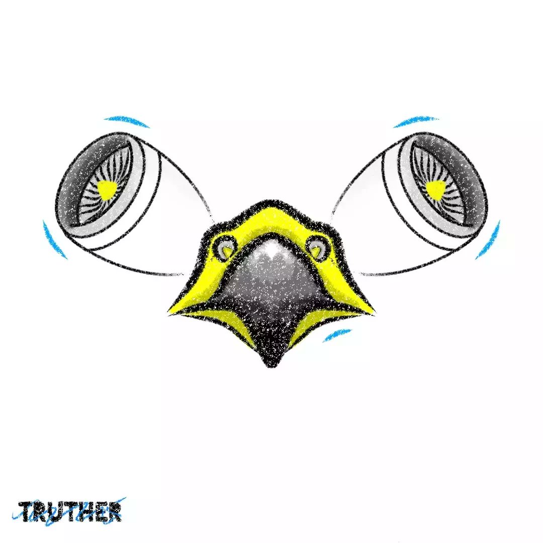 TRUTHERINC's tweet photo. B2 stealth bomber inspired by Peregrine Falcon | TRUTHER

#truther #design #peregrine #peregrinefalcon #space #falcon #airforce #biomimicry #animals #animal
#science #draw #air #airplane #information #didyouknow #knowledge #bird #birds #hunting #wild #wildlife #photography https://t.co/ZKVxQR8LW5