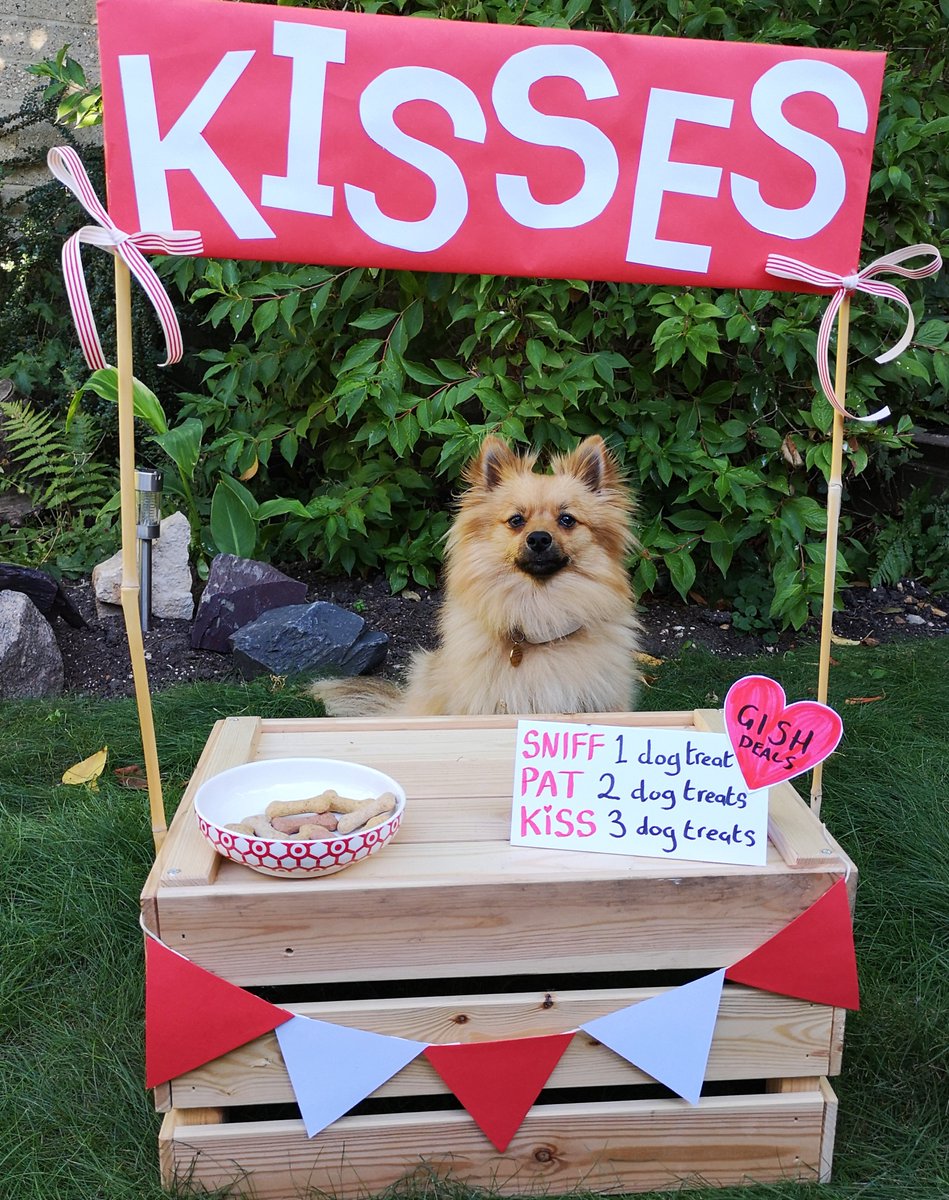 VGishi's tweet photo. The final pet item is sure to warm your heart, it is #GISH #Item69, a 🐶VeniVidiGISHI🐶 puppy kissing booth!!! https://t.co/0BS7EpmzmV