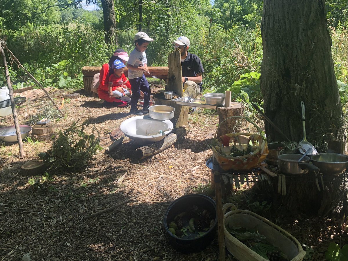 York Region Nature tweet media