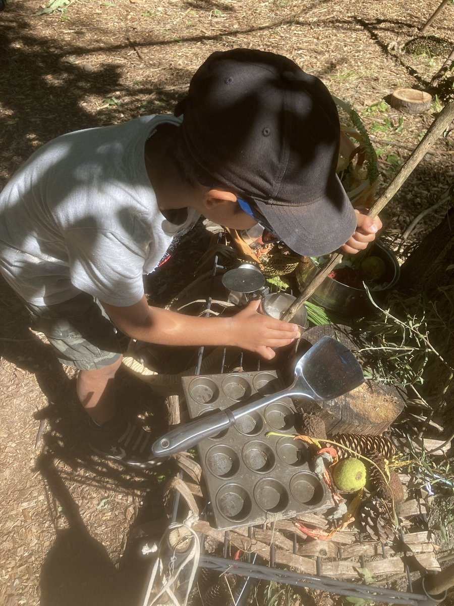 York Region Nature tweet media