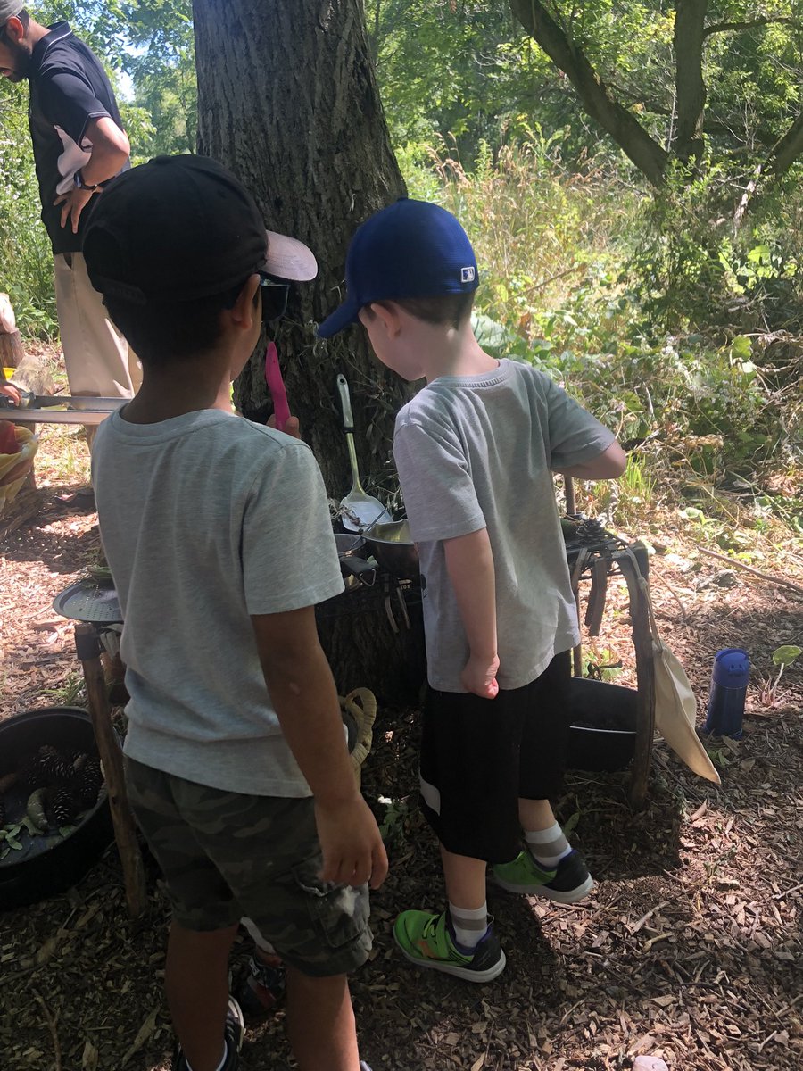 York Region Nature tweet media