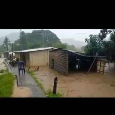 Jacobo_Vidarte's tweet photo. #Venezuela
Estado #Cojedes 

Nos reportan que los sectores #Mapuey y El Cacao resultaron afectados por lluvias. https://t.co/QCnABJgBi6