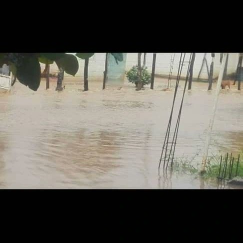 Jacobo_Vidarte's tweet photo. #Venezuela
Estado #Cojedes 

Nos reportan que los sectores #Mapuey y El Cacao resultaron afectados por lluvias. https://t.co/QCnABJgBi6