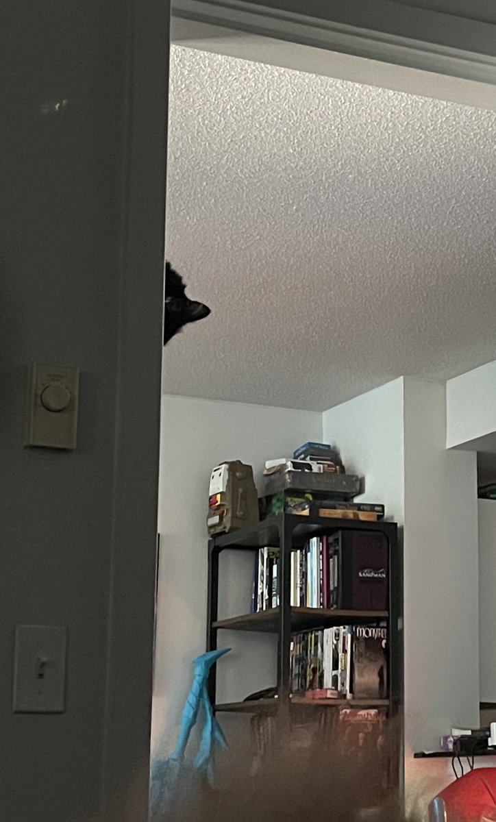 zoë “Baddie Proctor” quinn (@unburntwitch) on Twitter photo 