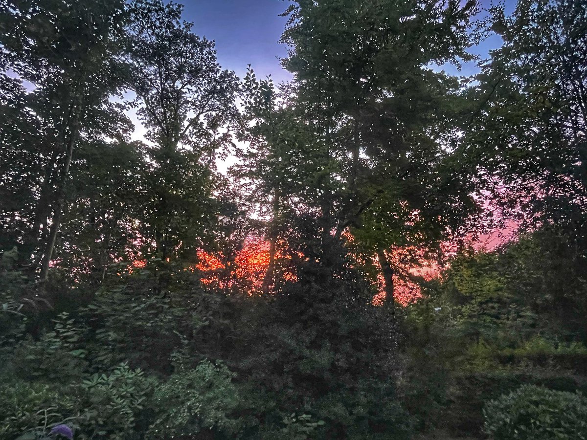 Zelfs de hemel in Friesland kleurt blauw-wit-rood. Merk als randstedeling dat het hier enorm leeft. Hoop echt dat we er als land voor iedereen met elkaar goed uitkomen en niet verder uit elkaar drijven. #boerenacties #respect #leefbaarnederland #gezondleven #balans #toekomst