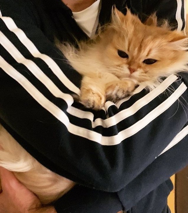 ͏

͏
     ͏ ͏ ͏

     ͏ ͏ 
宮治 O815,
good night.
͏