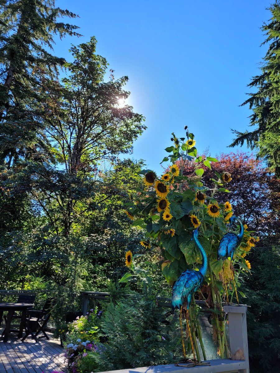 Margaret died of breast cancer on August 12 at 4pm. She was at home surrounded by her family. There are no words