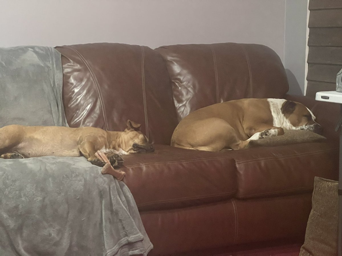 MattDubrow's tweet photo. #snoozemode https://t.co/nzSLHxyT8F