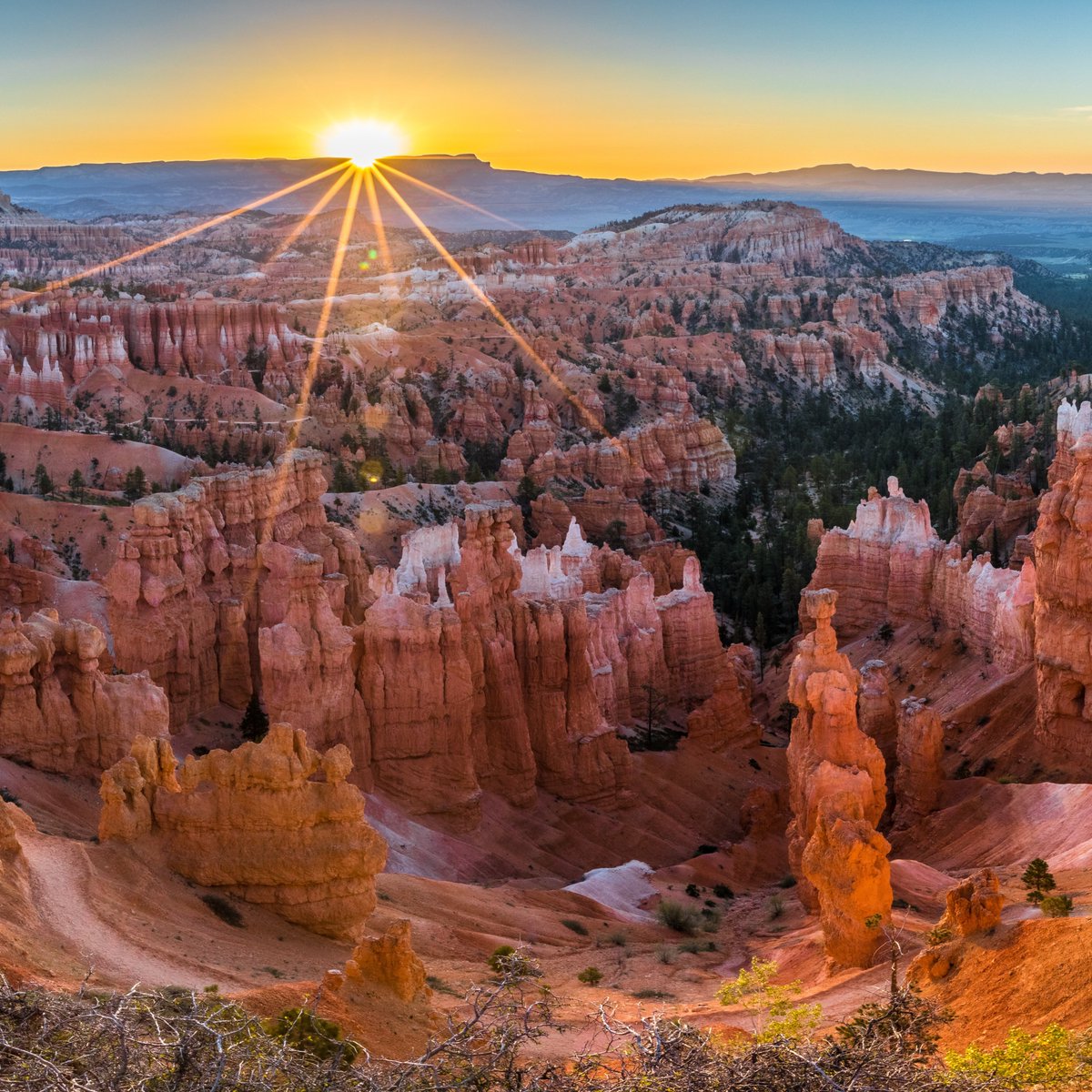 RachelleCriss's tweet photo. Grand National Parks of the Southwest - Bryce, and Zion to the Grand Canyon
10 days from $2799
https://t.co/5gGDsqPPdk https://t.co/fFxunzw0oF