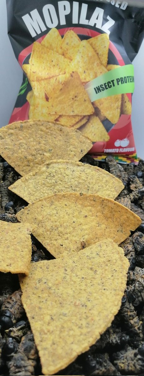 MopaniQueens's tweet photo. Mopilaz Now Available Order yours! Buy four packs and get one free >>>https://t.co/4LPCoiYeW5

#edibleinsects #tortillachallenge #mopaneworms #mopaniworms #tomato #specialityfood #earthfood #africa https://t.co/iX0LSpZFa8