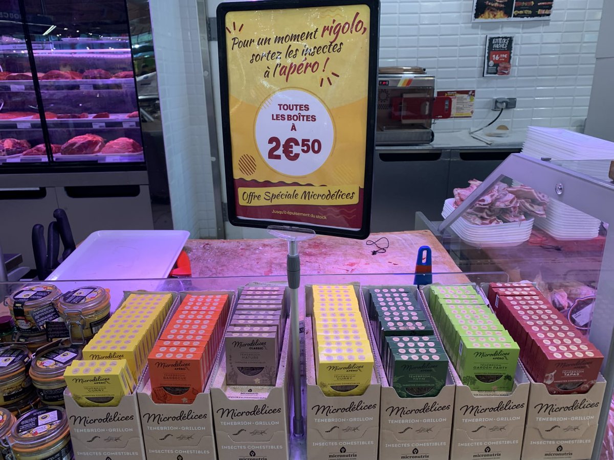 😱😱😱 Eat the bugs Madafaka !!!