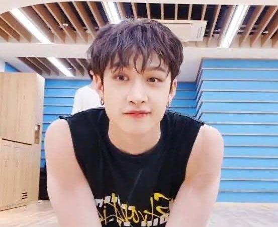 beyondyasmin's tweet photo. thinking about how attractive bang chan is in sleeveless tops https://t.co/pH859iwL6e