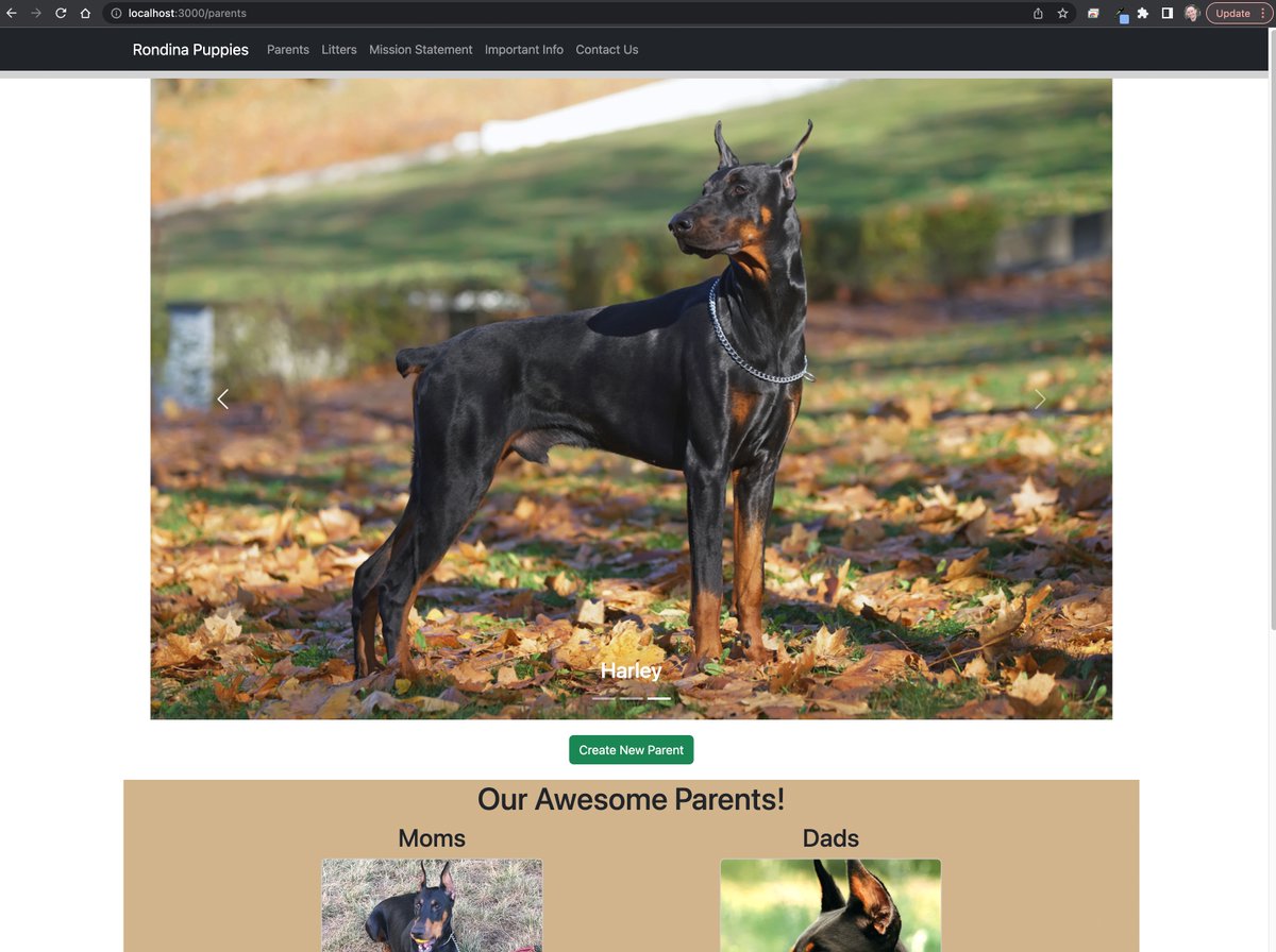 ARondinaCodes's tweet photo. Day 46 of #100DaysOfCode:

Big day! Learning more about the NPM package react-bootstrap. Implementing several components and the website is starting to take shape! Really happy with how responsive this site is!

Excited to style the backend work I've been doing the past week. https://t.co/9xN2bTUxdC