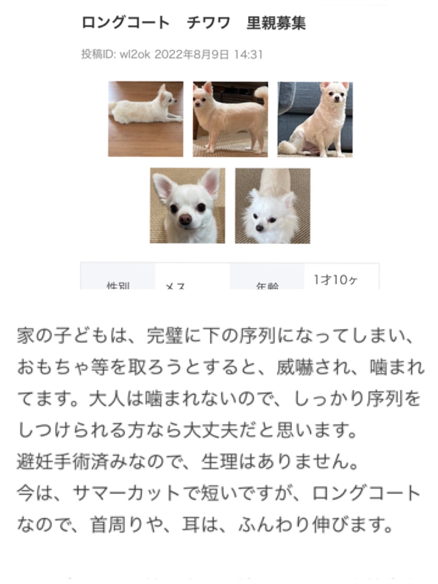 あやおとココと 1llyn6kicbjvarc Twitter