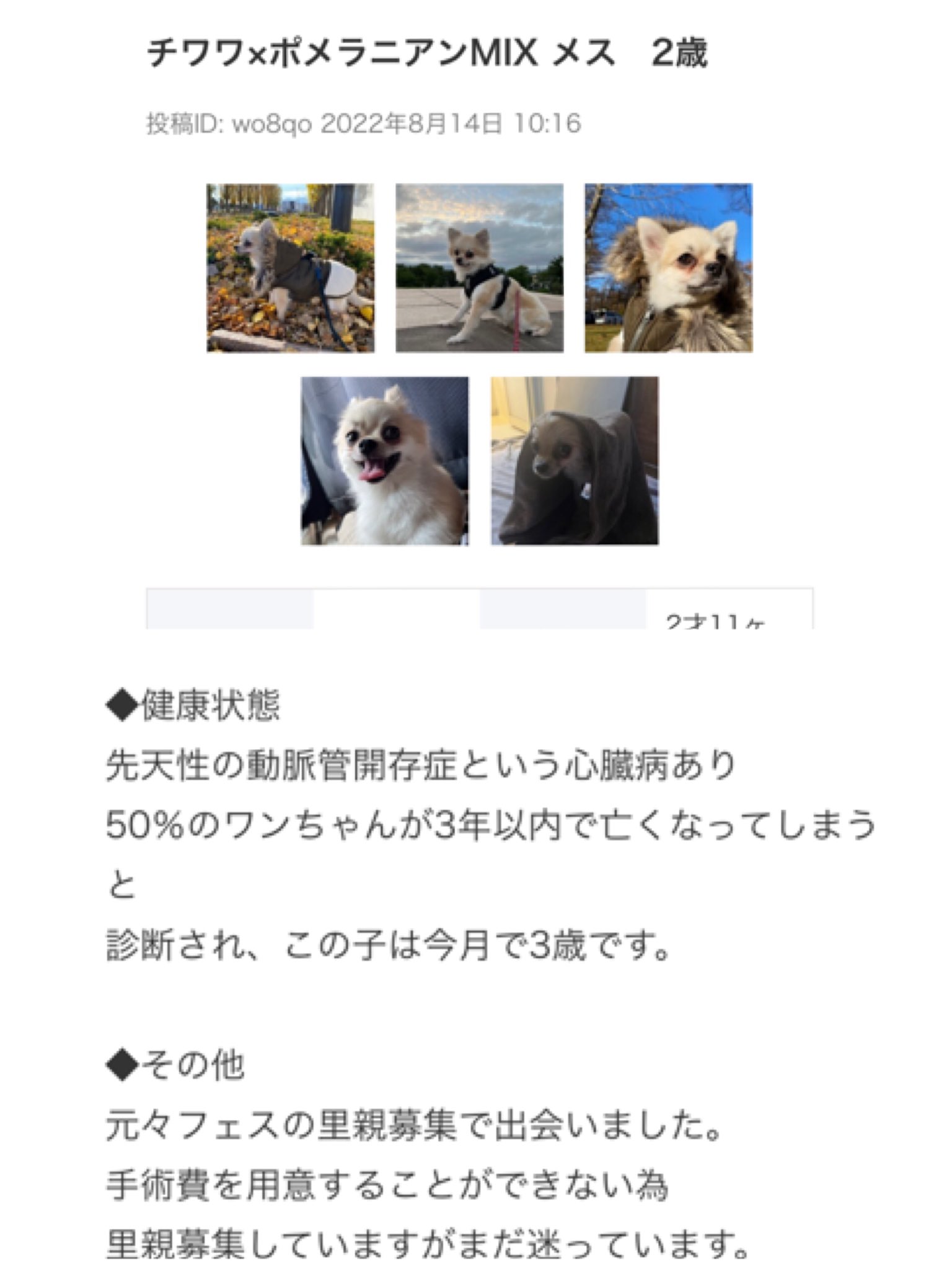 あやおとココと 1llyn6kicbjvarc Twitter