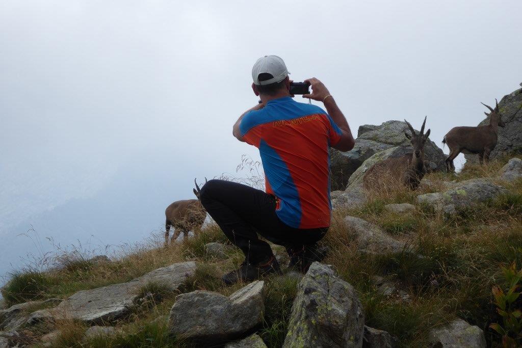 Beppeley's tweet photo. Amo tutto questo. 
Amo questi meravigliosi animali.
#stambecchi #VallidiLanzo #AlpiGraie #Piemonte https://t.co/Mcjm53iVo0