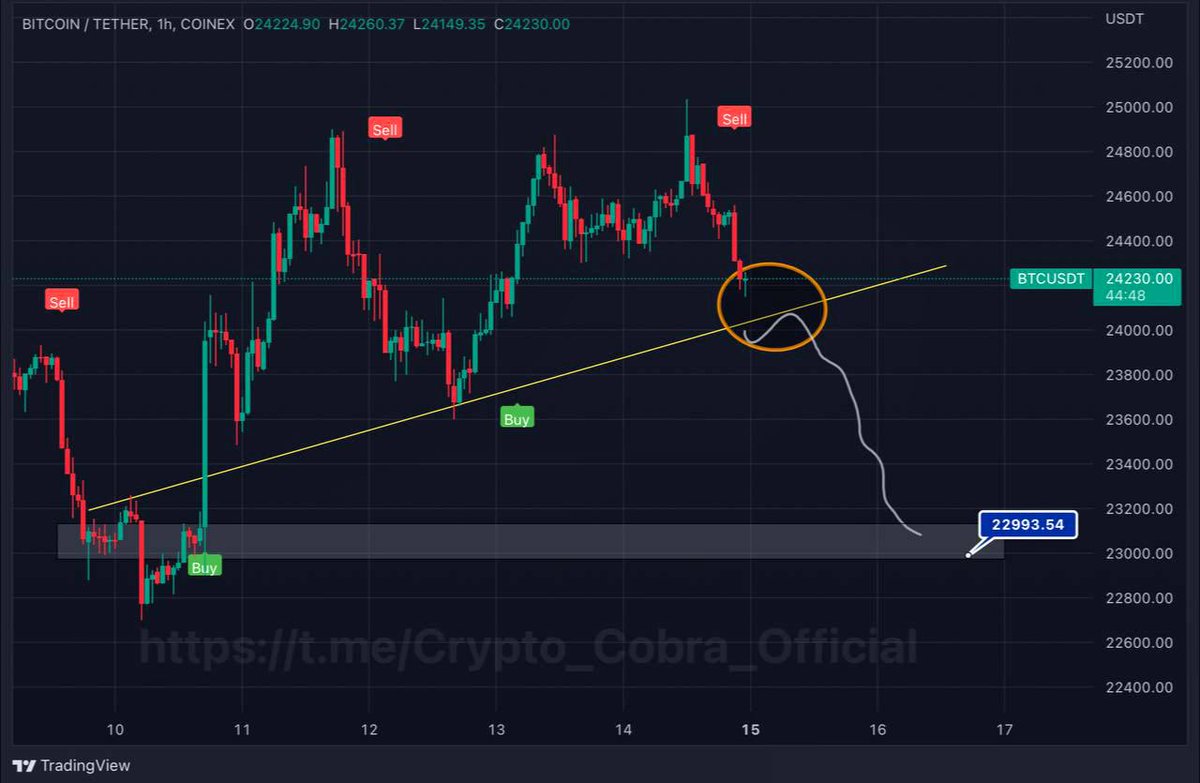 _crypto_cobra's tweet photo. #Bitcoin Update ⚠️

If breaking below the trend support @23900 than next Support at @22900

@Crypto_Cobra_Official

🔥To get this type of signals
⤵️🔗
https://t.co/30HWsGSpw9

#BTC #Binance #Coinbase #KuCoin #bybit #eth $btc https://t.co/pMebp0PeYu