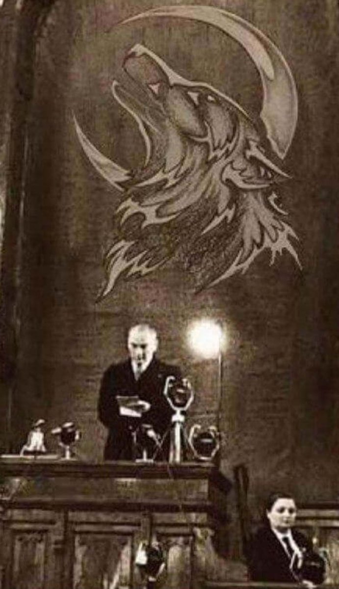 siyam kırıkkuyruk (@skkuyruk) on Twitter photo 