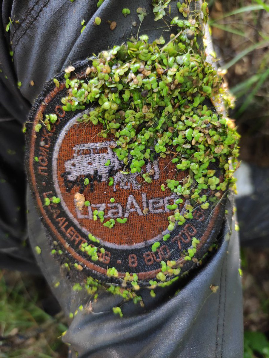 Элька Зайнулина tweet media