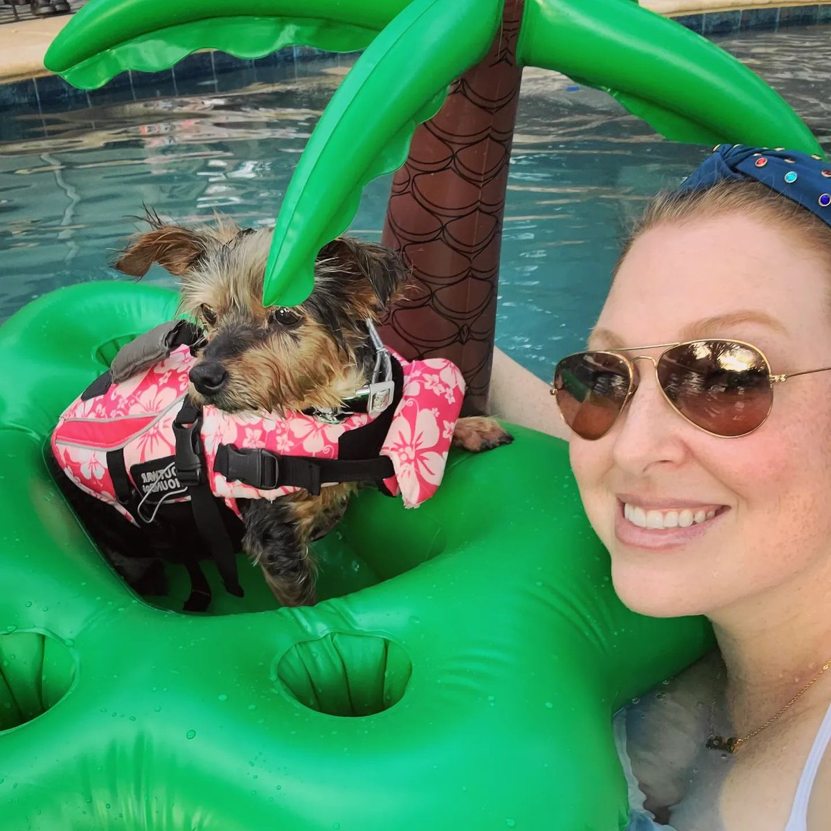 JennLL19's tweet photo. Bella's 14th Birthday Pool Party! 🐶💦🎉 https://t.co/yaSS8SxSpu