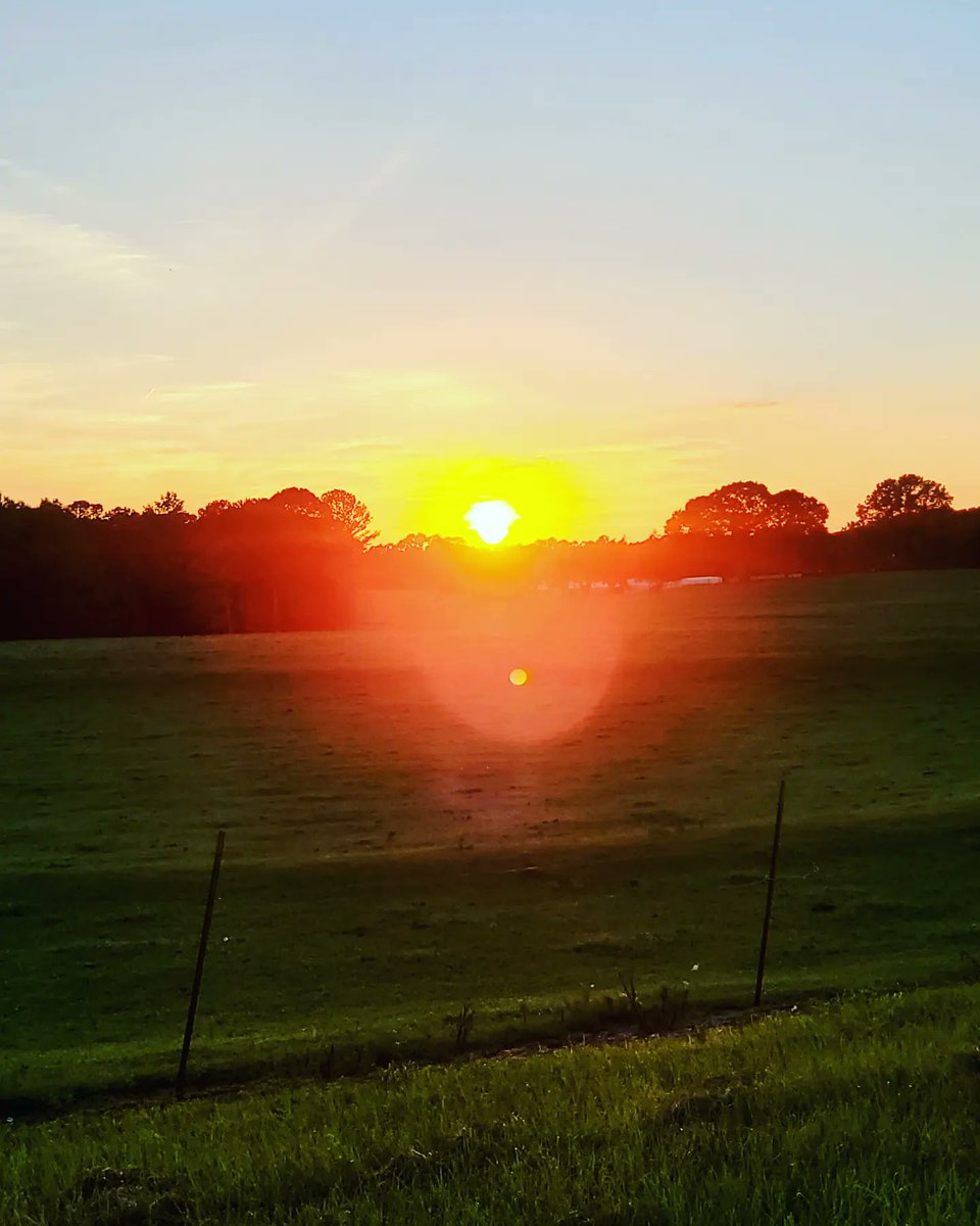 grammergorun's tweet photo. Running with the sunset Friday night 🌞 &amp; my new Saucony Endorphin speeds 👍 https://t.co/oqgP8gZ3f5
