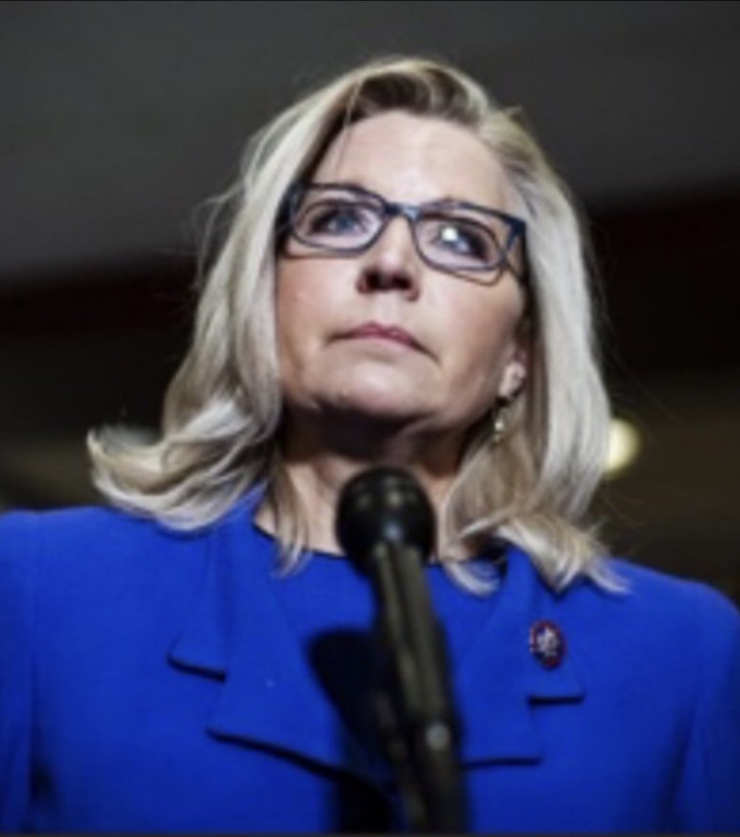 dianeeldredge99's tweet photo. @RpsAgainstTrump @Kimquilts2 I agree with @MittRomney #LizCheney is exceptional! 🇺🇸 I would vote for Liz as President in a heartbeat! #VoteForLizCheney 🙏💗 #Wyoming TruthMatters! https://t.co/9GH6TeIJws