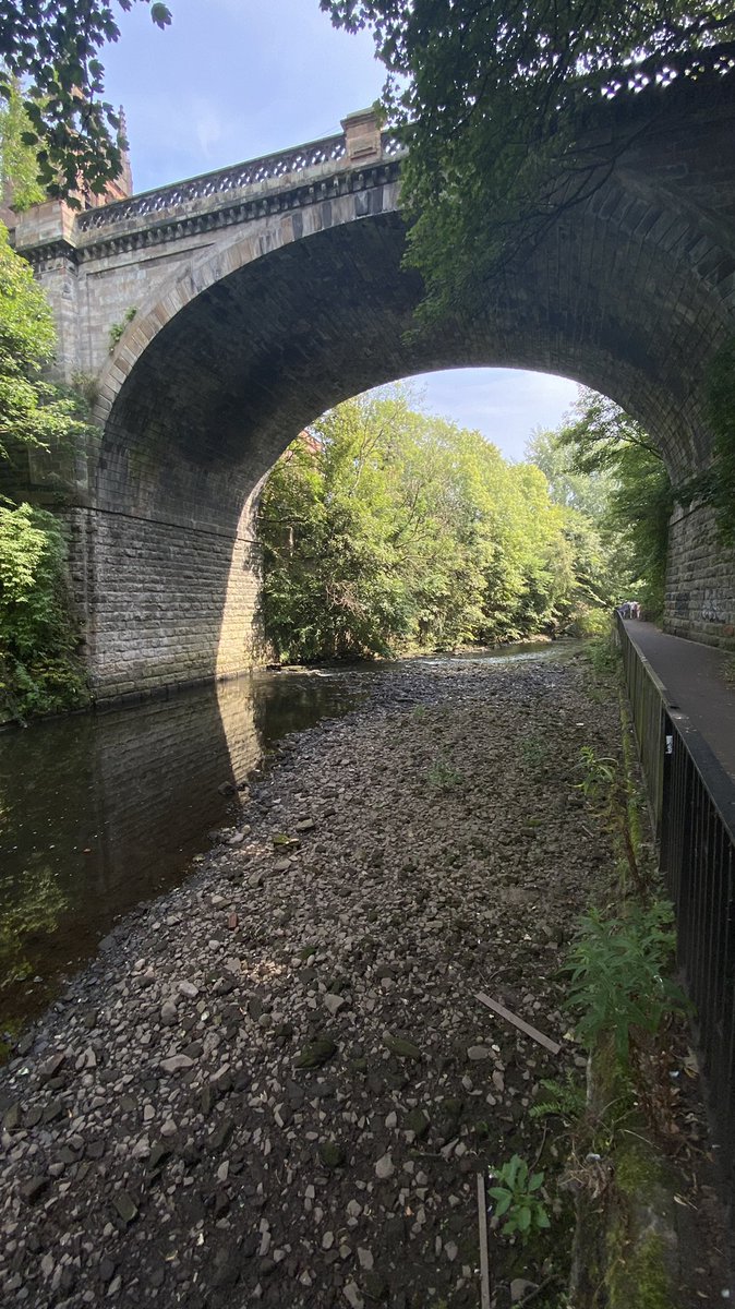 GlasgowWEToday's tweet photo. Running on empty … River Kelvin, Glasgow, Sunday August 14, 2022 #rainforecast https://t.co/N4POvepK6L