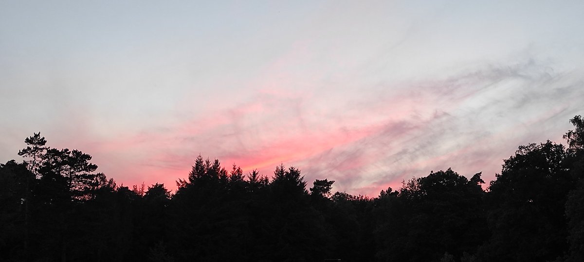 Vandaag als afsluiting van de vakantie met zijn vijfjes naar de Minions in park Berg en Bos, de bomen zijn mooi aangelicht op de route, maar hebben ook kadootje uit de lucht 🤩 #OLFF2022