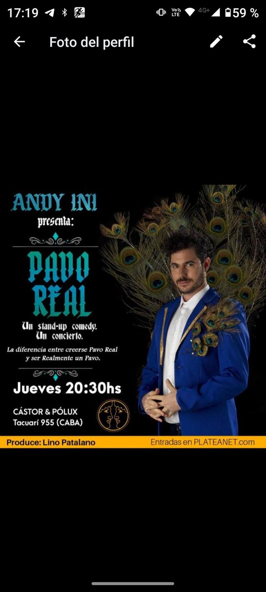Andy Ini Presenta Pavo Real tweet media