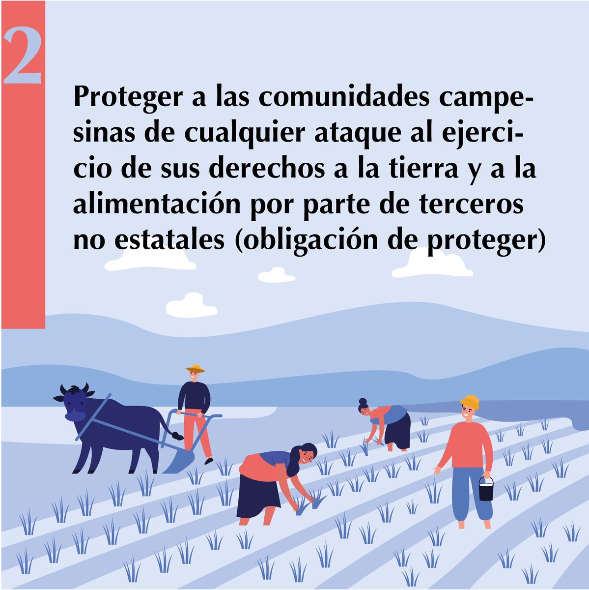 AlGranoEc's tweet photo. #LaTierraParaQuienesLaTrabajan 
en #casoIsaias @Presidencia_Ec, debe dar prioridad a comunidades que dependen de la tierra para ejercer su derecho a un nivel de vida adecuado (Declaración Universal de #DDHH), #PIDESC y otros instrumentos internacionales e incluye:⬇️⬇️⬇️ https://t.co/LfX4wr1uz7