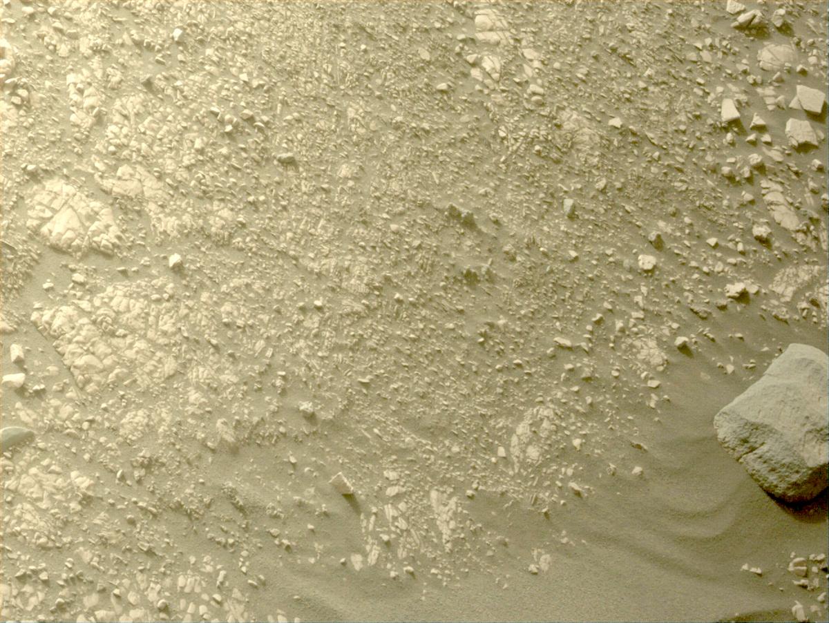MarsMissionImgs's tweet photo. #PerseveranceRover image taken on #Sol520 at 4:13:46.276 PM with #Navcam #Mars #NASA #Space https://t.co/sd971gXWV7
