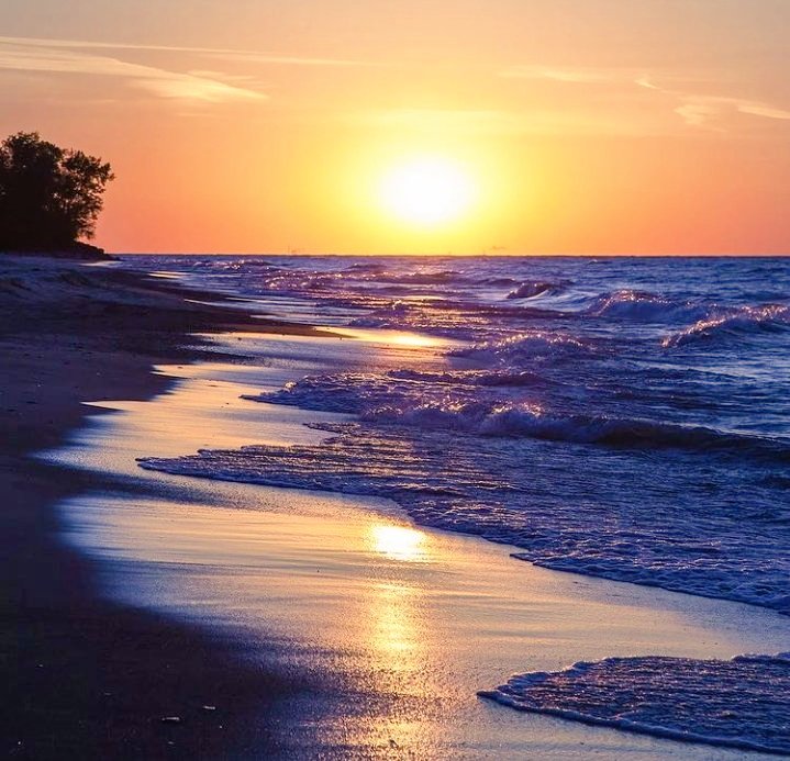 s_msonia's tweet photo. A veces aquello que te ahoga,
es lo que te salva de la vida,del tiempo,de la soledad o del silencio.
#GoodVibesOnly
#GoodVibesGameOn
#BuenasNoches
#Microrelatos
#GoodNightTwitterWorld
#FelizSemanaAtodos
#MagicOrange #CALM
#keepcalm https://t.co/wXTho4NXj7