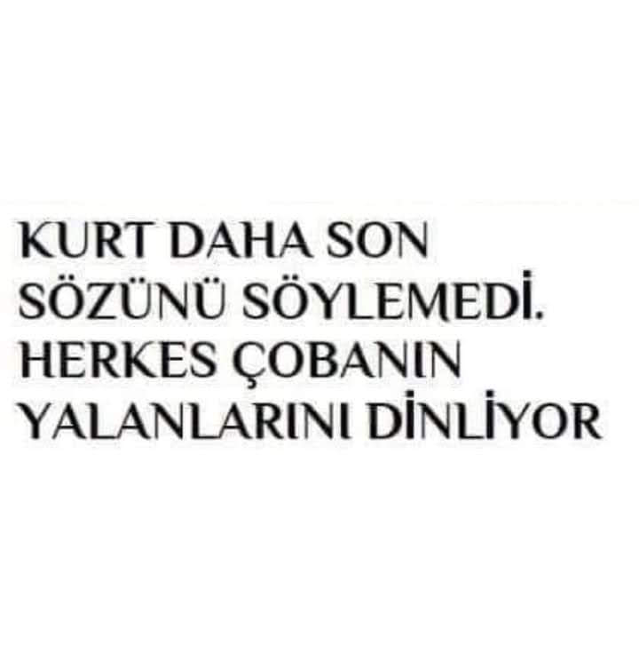 ahmet soykök (@ahmetsoykk) on Twitter photo 