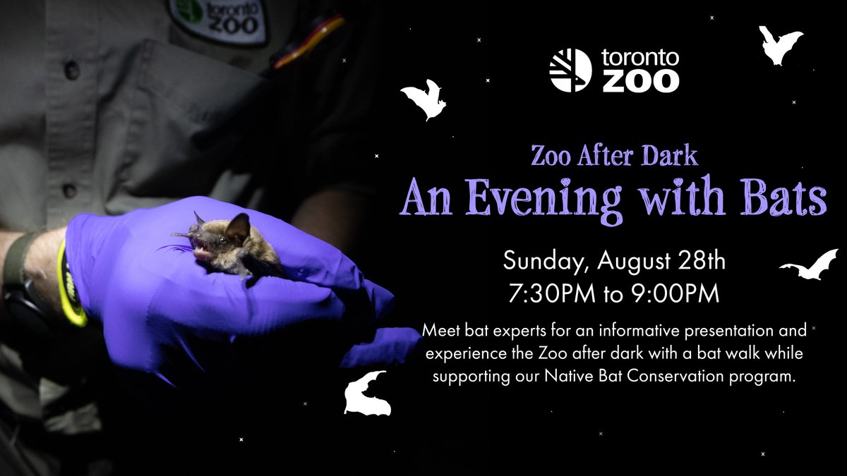 Visit the Zoo after dark 🦇

Join us on August 30 for 'An Evening With Bats', featuring a presentation by two of Canada’s leading bat experts and a short tour to "listen to the night" and identify wild bats using special bat detectors.

Register at bit.ly/3QJxvnQ🦇