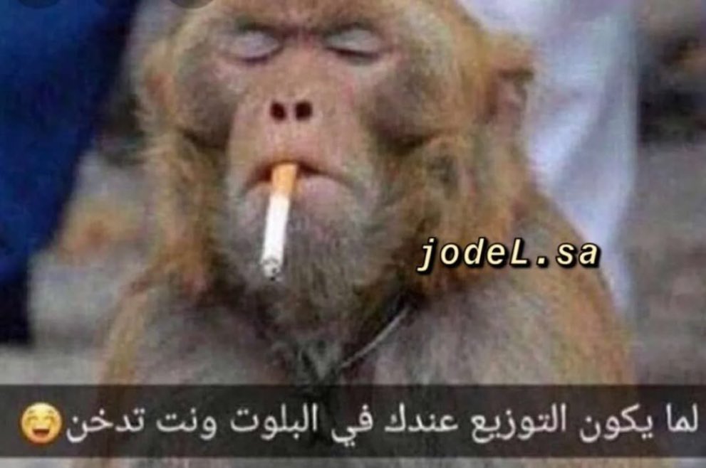 بـنـدر بـن خـالـد (@_bks2828) on Twitter photo 