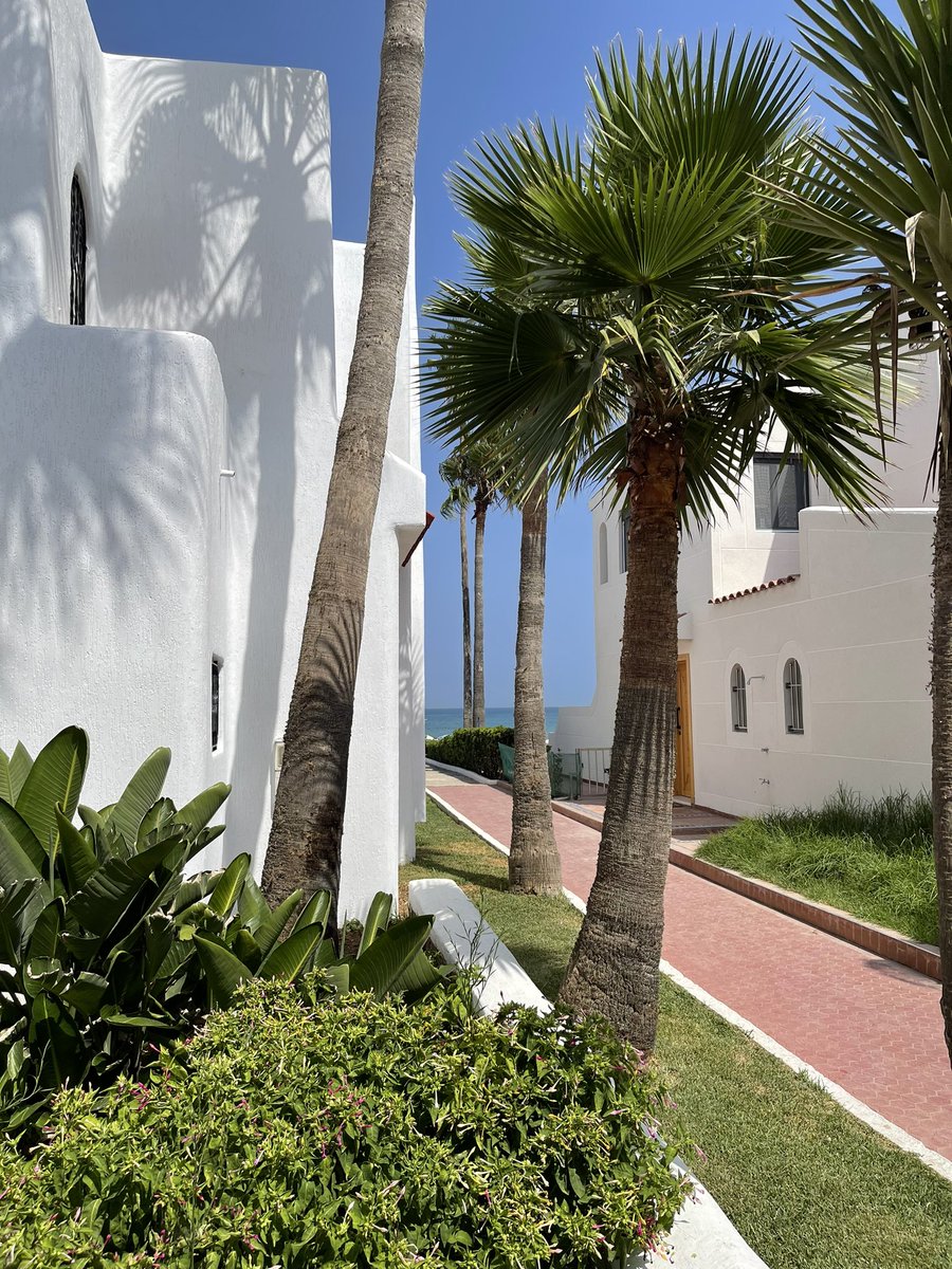 Salim The Dream tweet media