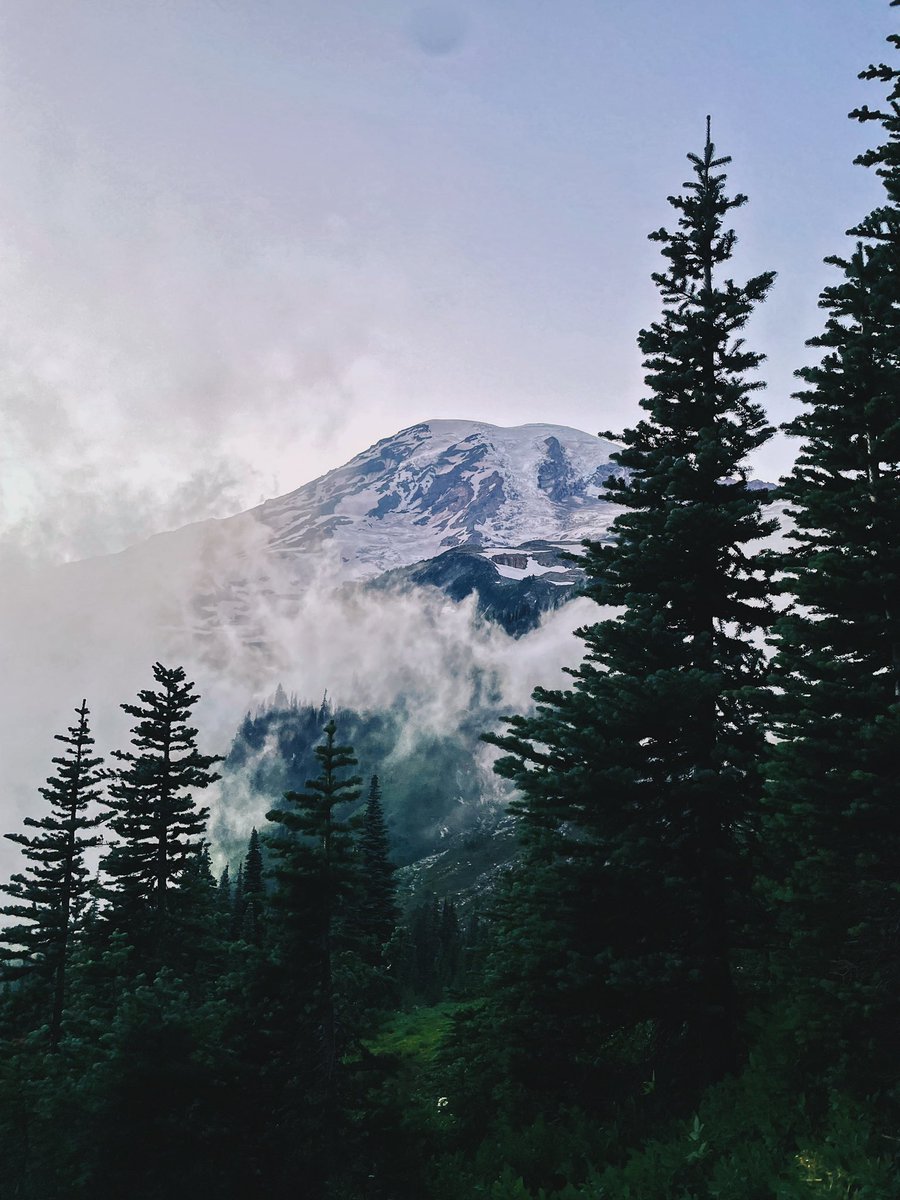 SignalOutdoors's tweet photo. Our @SignalOutdoors team member @poojapatel199 participated in a three-day hiking &amp; photography trip at @MountRainierNPS! It was the perfect weekend spent recreating in a great national park #OptOutside https://t.co/0QxBakd6X8