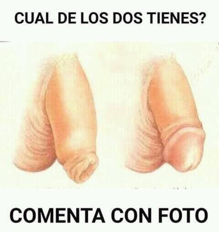 AndreMaslovok's tweet photo. Busco activos para grabar, comenta la mejor foto de tu verga quiero verlos!!!
#Peludos
🔥Venta de contenido fotos y videos personalizados.
🔥 Servicio de Scort 
@CrRegiolandiaM @RegiolandiaMTY https://t.co/cSWsEbDFp4