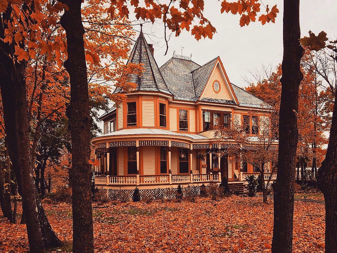OctobersLeavess's tweet photo. Another Fall/Halloween serotonin boost for today. 🎃 https://t.co/3mLfeIFFXP