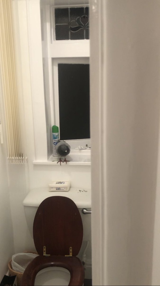 zoastation's tweet photo. what do you do in this situation. https://t.co/f8ywGIMr71