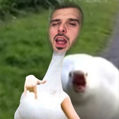 #NouvellePhotoDeProfil