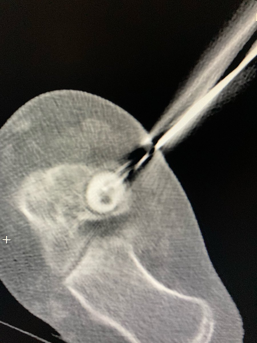 Sean Tutton tweet media